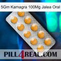 5Gm Kamagra 100Mg Oral Jelly levitra1